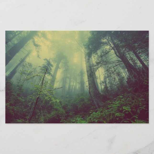 Wälder von unten briefpapier (Vorderseite)