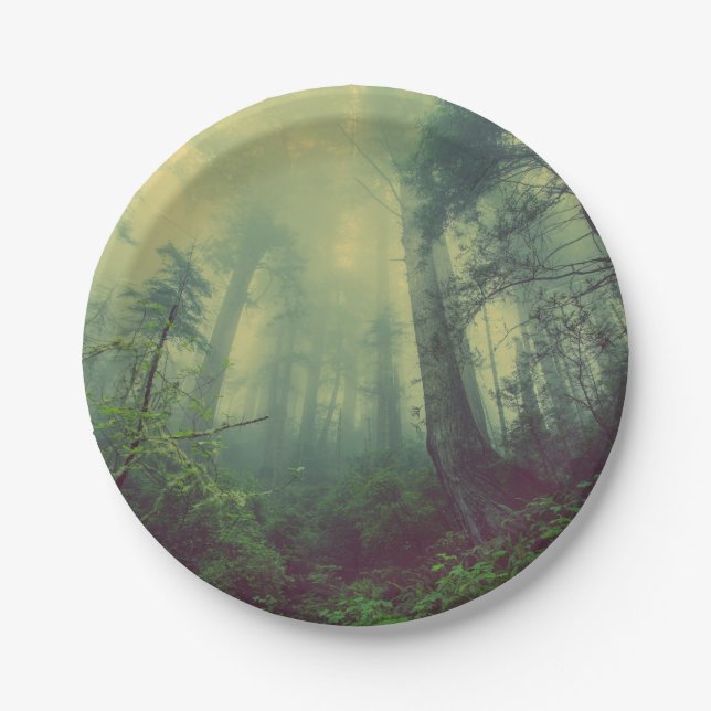 Wälder von unten pappteller (Vorderseite)