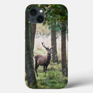 Wälder Wälder und Rotwild Case-Mate iPhone Hülle