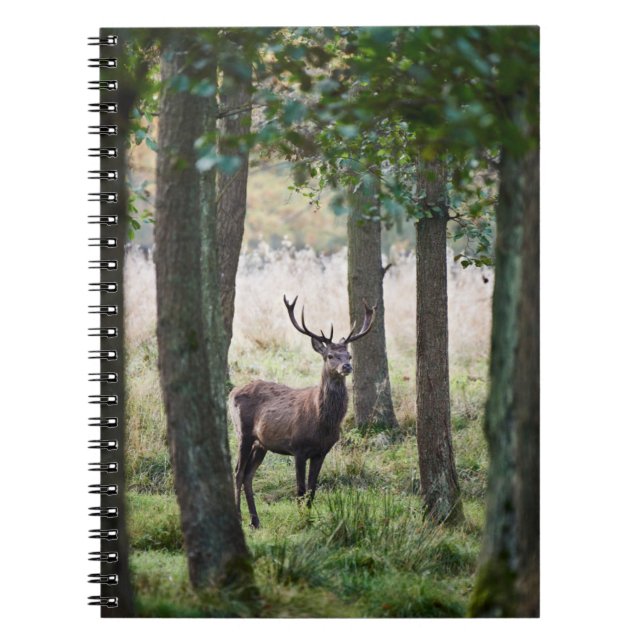 Wälder | Wälder und Rotwild Notizblock (Vorderseite)