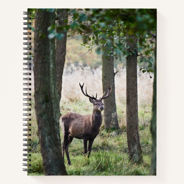 Wälder | Wälder und Rotwild Notizbuch (Vorderseite)