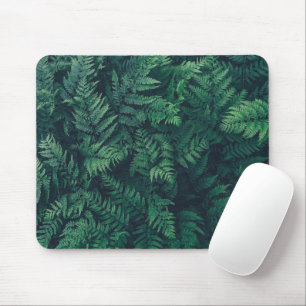 Wälder   Waldflächen Ferne Mousepad