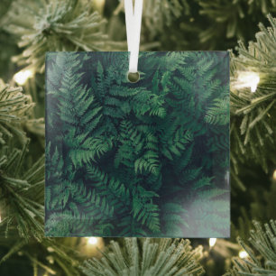 Wälder   Waldflächen Ferne Ornament Aus Glas