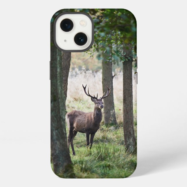 Wälder | Waldgebiete & Rothirsche iPhone Hülle (Rückseite)