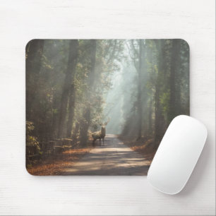 Wälder   Waldland Stag Mousepad