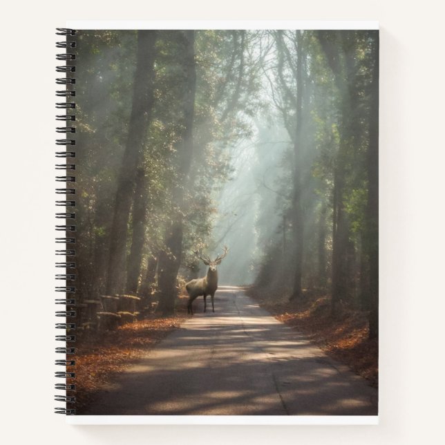 Wälder | Waldland Stag Notizbuch (Vorderseite)