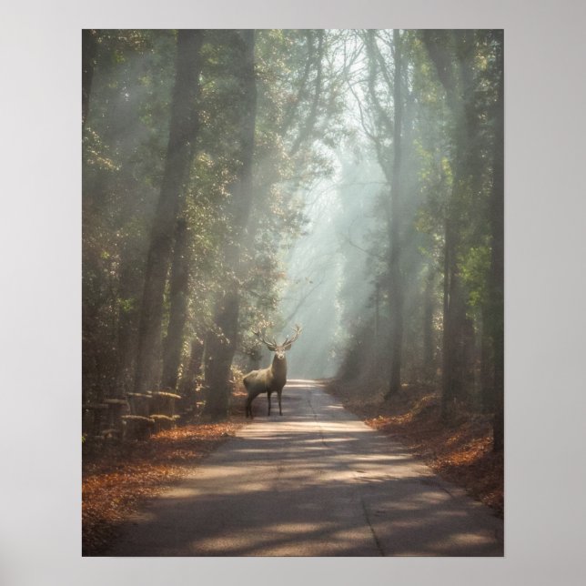 Wälder | Waldland Stag Poster (Vorne)