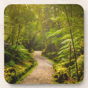 Wälder   Waldwanderweg Getränkeuntersetzer