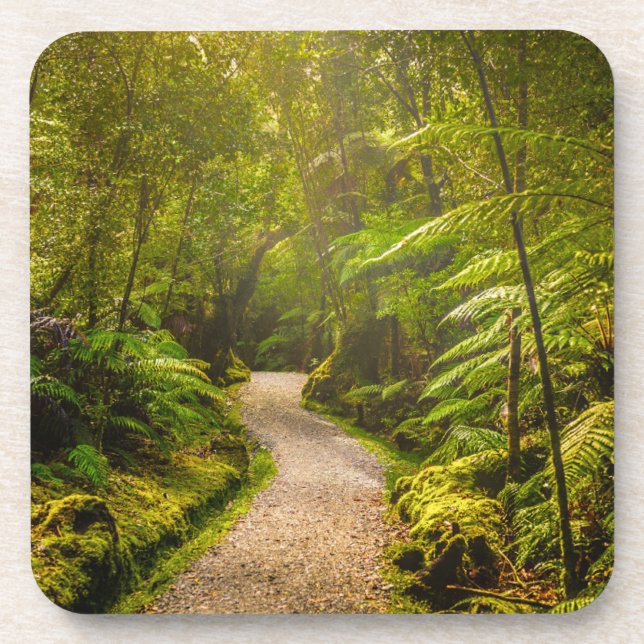 Wälder | Waldwanderweg Getränkeuntersetzer (Vorderseite)