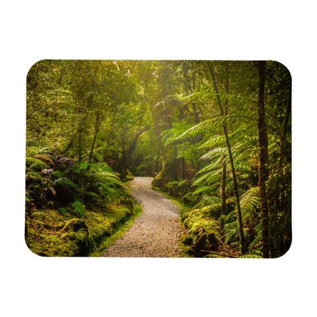 Wälder | Waldwanderweg Magnet (Horizontal)