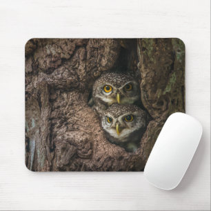 Wälder   Zwei Eulen schauen Mousepad