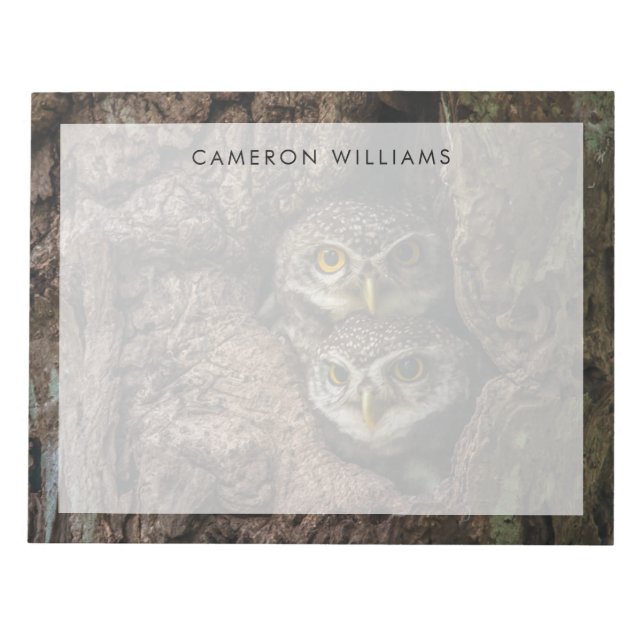 Wälder | Zwei Eulen schauen Notizblock (Vorderseite)