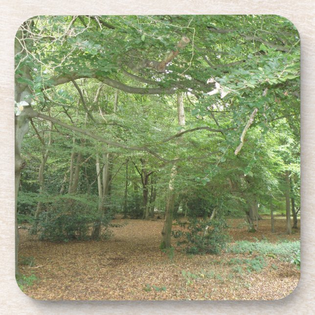 Walderäumungs-Cork-Untersetzer Untersetzer (Vorderseite)