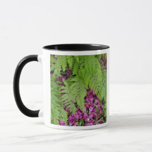 Waldfarne mit rosa Blütenblättern aus der Blume  Tasse