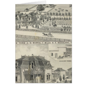 Waldflächen, Bauernhöfe