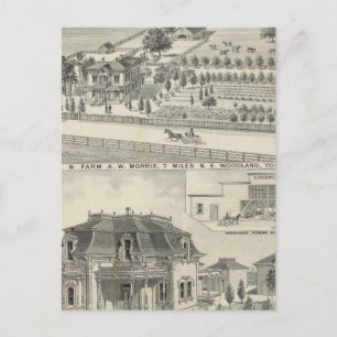 Waldflächen, Bauernhöfe Postkarte