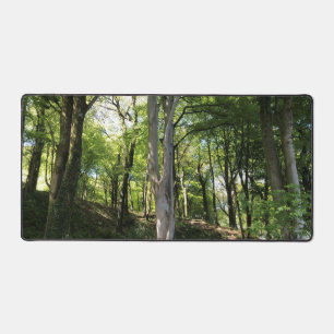 Waldglade in Sonnenlicht auf einem Schreibtischunterlage