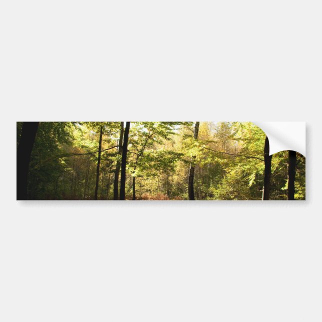 Waldglasur Autoaufkleber (Vorne)