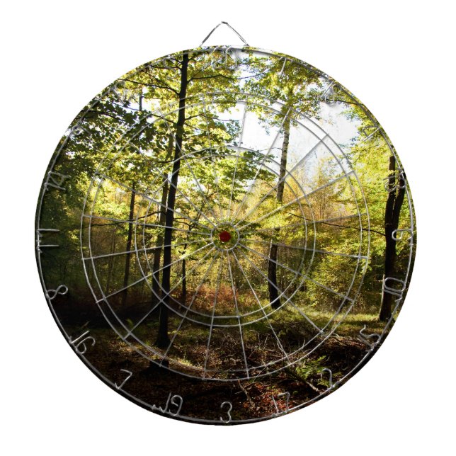 Waldglasur Dartscheibe (vorne)