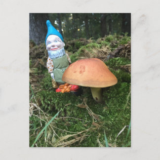 Waldgnome Postkarte