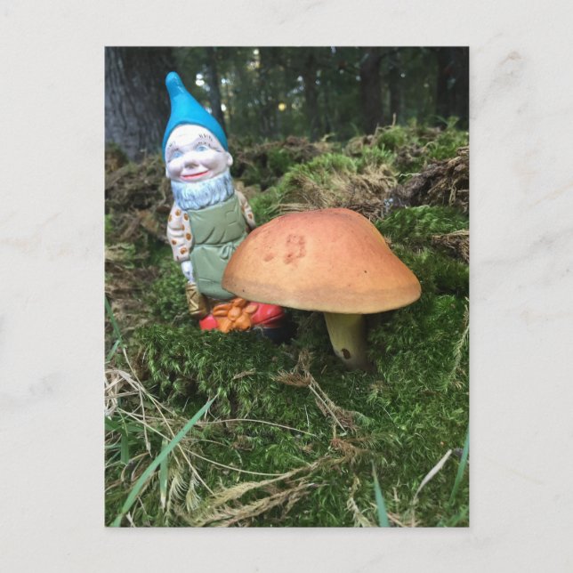 Waldgnome Postkarte (Vorderseite)