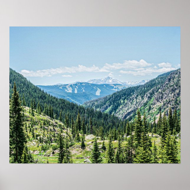 Waldgrundstück mit dichtem Wald // Skigebiet Poster (Vorne)