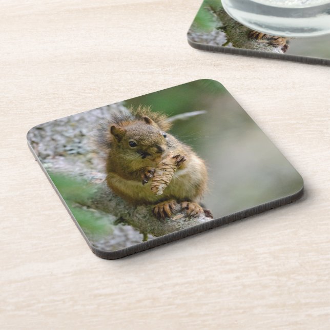 Waldhörnchen – Wildlife Design Getränkeuntersetzer (Linke Seite)