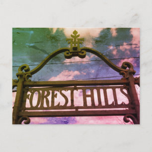 Waldhügel, Königinnen, NYC Postkarte