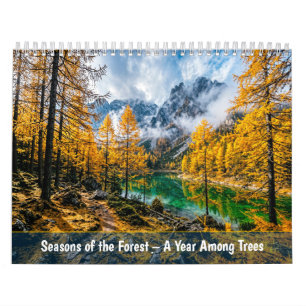 Waldjahreszeiten - Ein Jahr unter Bäumen Kalender