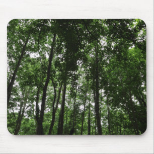 Waldkanopie 02 mousepad