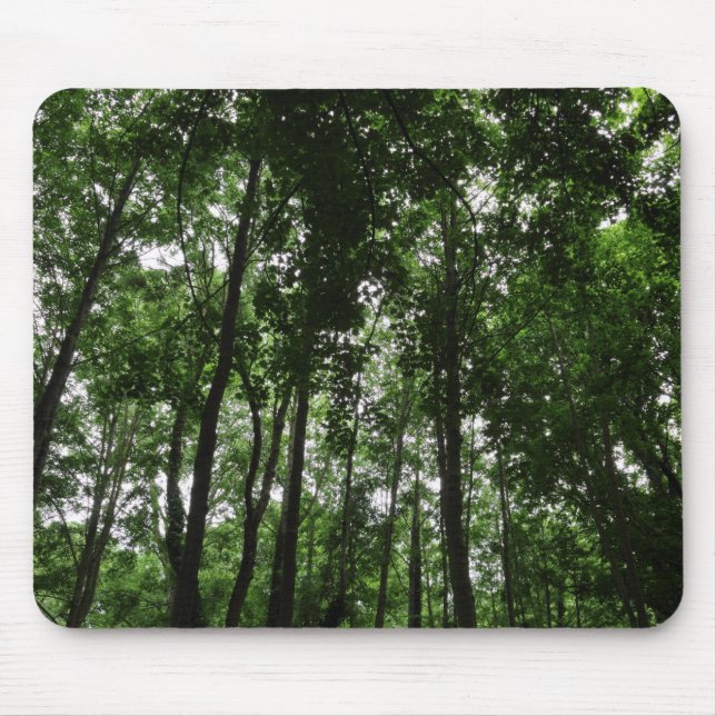 Waldkanopie 02 mousepad (Vorne)