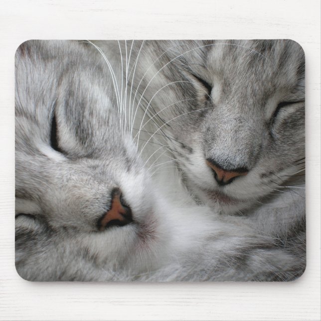 Waldkatzen-Mäusematte Mousepad (Vorne)