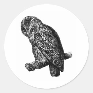 Waldkauz Eulen Vogel Vintage Holzschnitt Runder Aufkleber