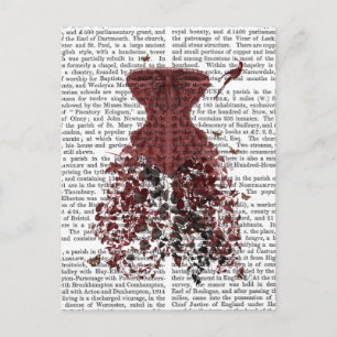 Waldkorsett 2 postkarte