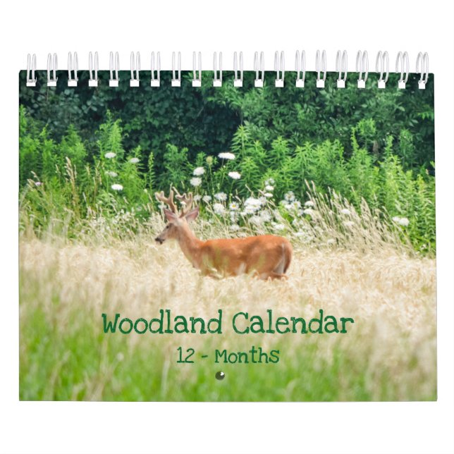 Waldkreaturen Naturkalender Kalender (Titelbild)