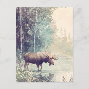 Waldkreaturen Postkarte