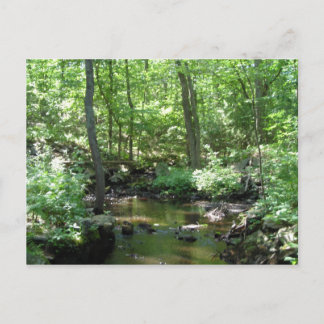 Waldkrebs Postkarte