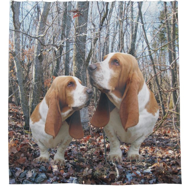 Waldland Basset Hound Duschvorhang (Vorderseite)