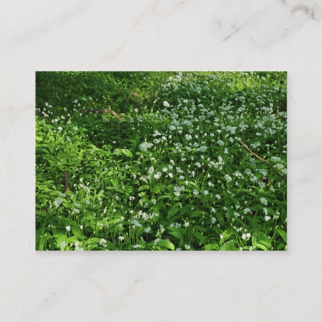 Waldland-Blume Visitenkarte (Vorderseite)