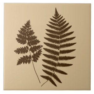 Waldland Fern, Beige und Dunkelbraun Fliese