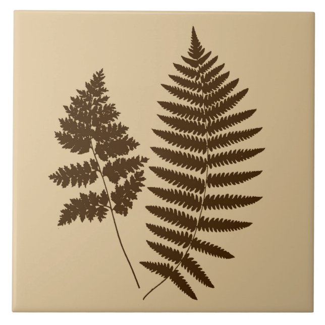 Waldland Fern, Beige und Dunkelbraun Fliese (Vorderseite)