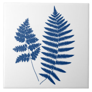 Waldland Fern, Kobalt Blau auf Weiß Fliese