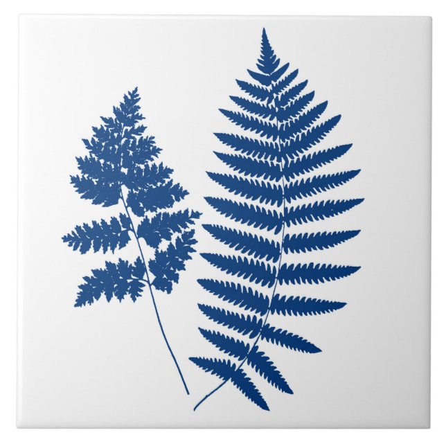 Waldland Fern, Kobalt Blau auf Weiß Fliese (Vorderseite)