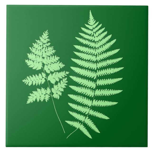 Waldland Fern, Smaragd und leicht grün Fliese (Vorderseite)