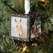 Waldland Natur Pine Horse Pferdekraut Haustier 4 F