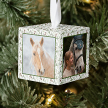Waldland Natur Pine Horse Pferdekraut Haustier 4 F