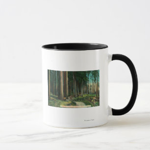 Waldland SceneEugene ODER Tasse