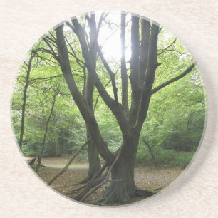 Waldland Sunshine Untersetzer
