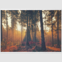 Waldlandschaft 18 Dekoupage Tissue Paper Seidenpapier