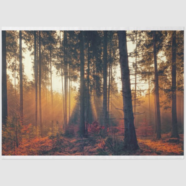 Waldlandschaft 18 Dekoupage Tissue Paper Seidenpapier (Vorderseite)